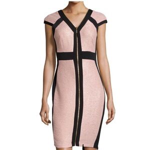 Jax metallic colorblock dress Blush/Black Size 6